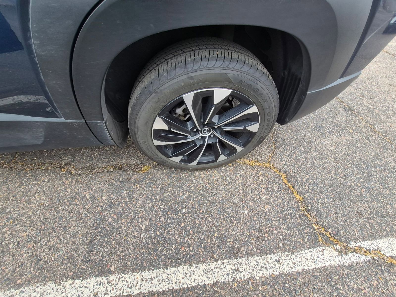 Used 2025 MAZDA CX-50 2.5 Hybrid w/ Premium Plus Pkg image 13