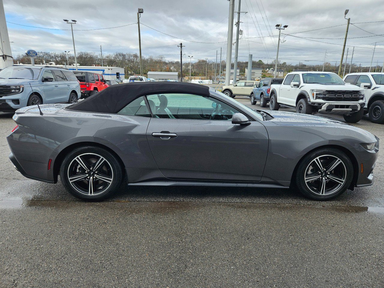 Used 2024 Ford Mustang Premium image 7