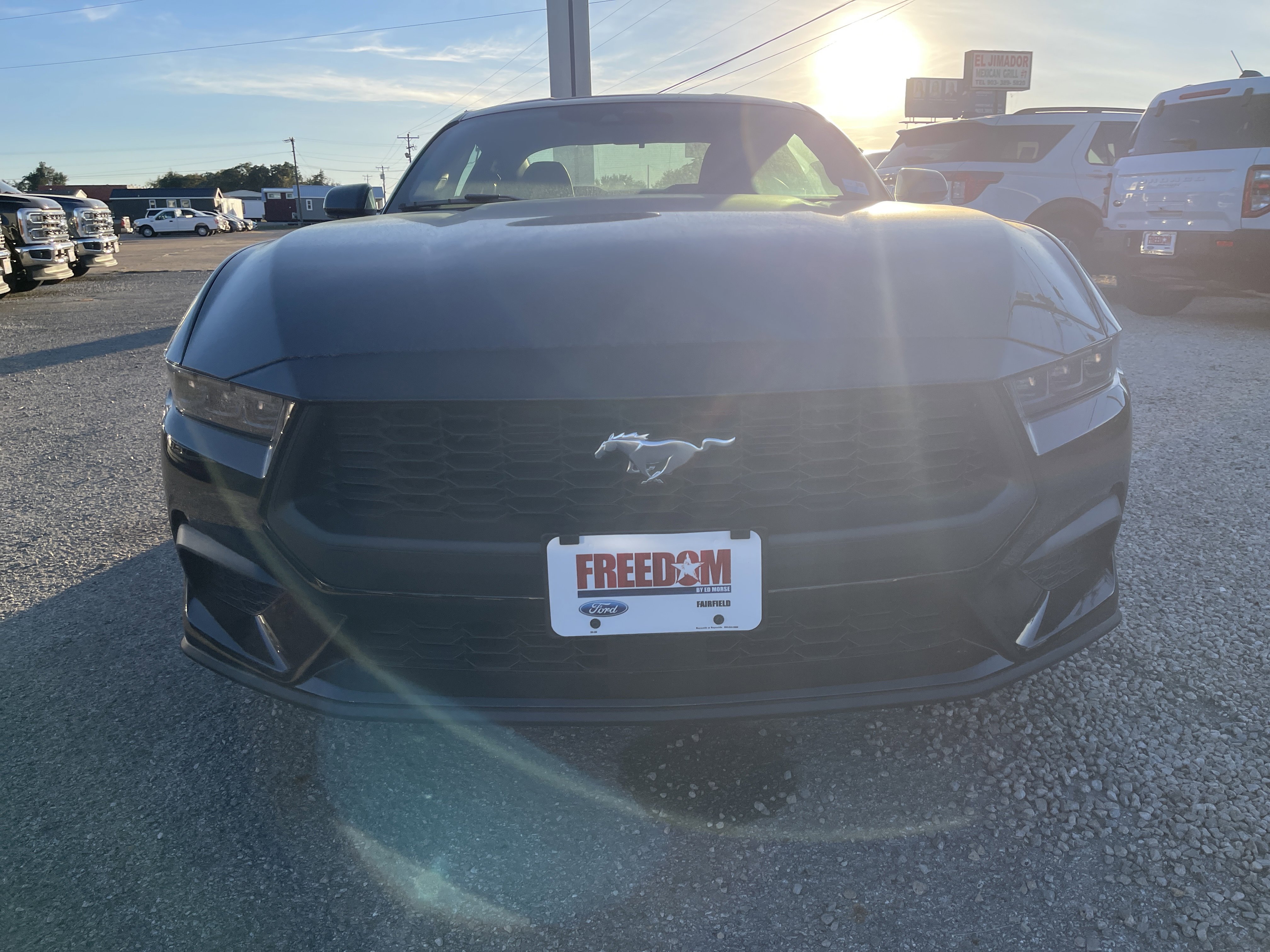 New 2025 Ford Mustang Coupe image 9