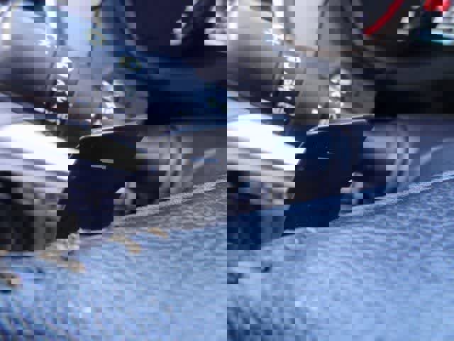 Used 2022 Subaru Forester Wilderness image 23