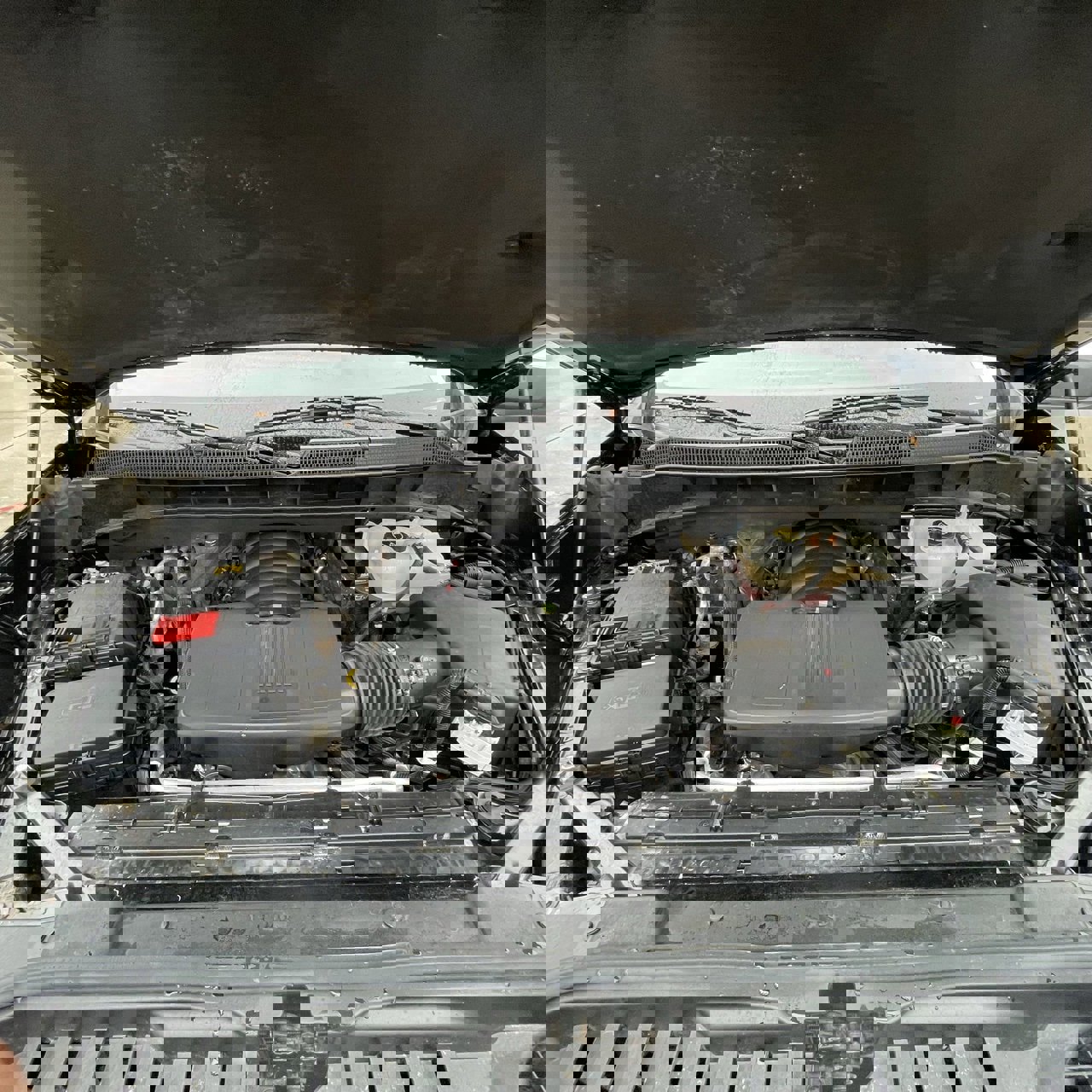 Used 2025 Chevrolet Silverado 1500 LT image 26