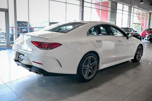 Used 2019 Mercedes-Benz CLS 450 4MATIC image 6