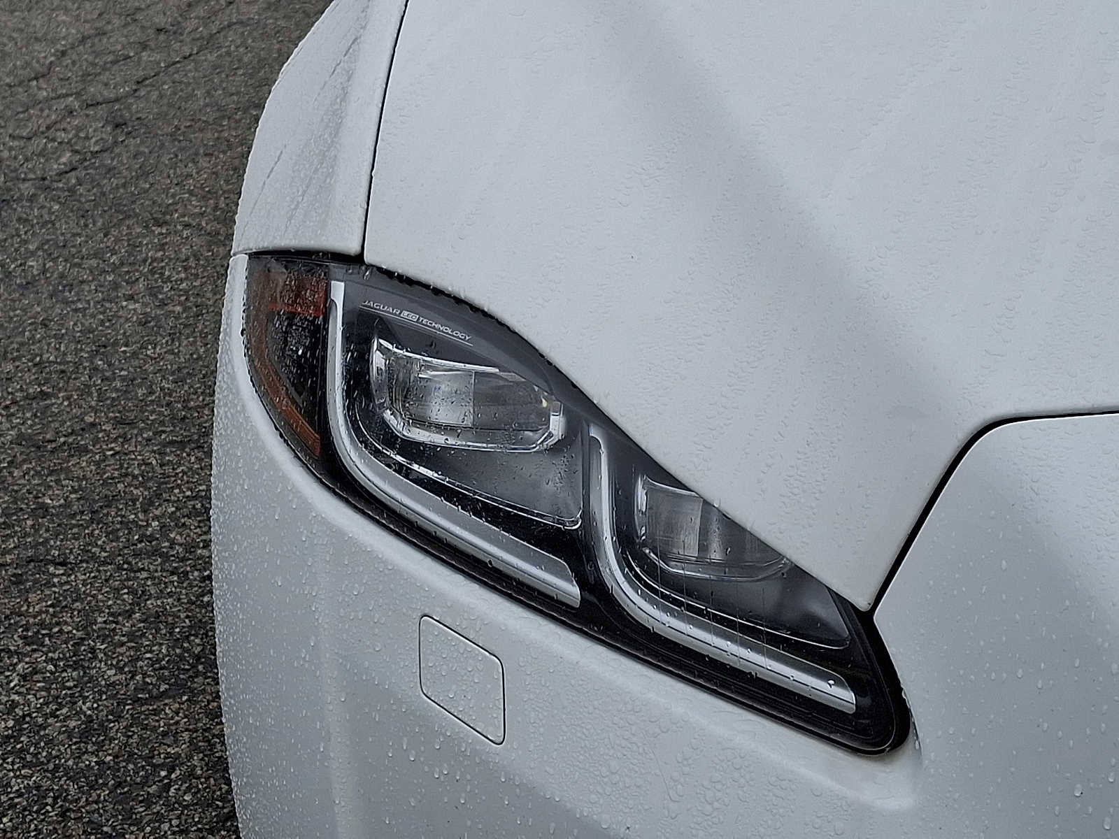 Used 2019 Jaguar XJ L Portfolio image 9