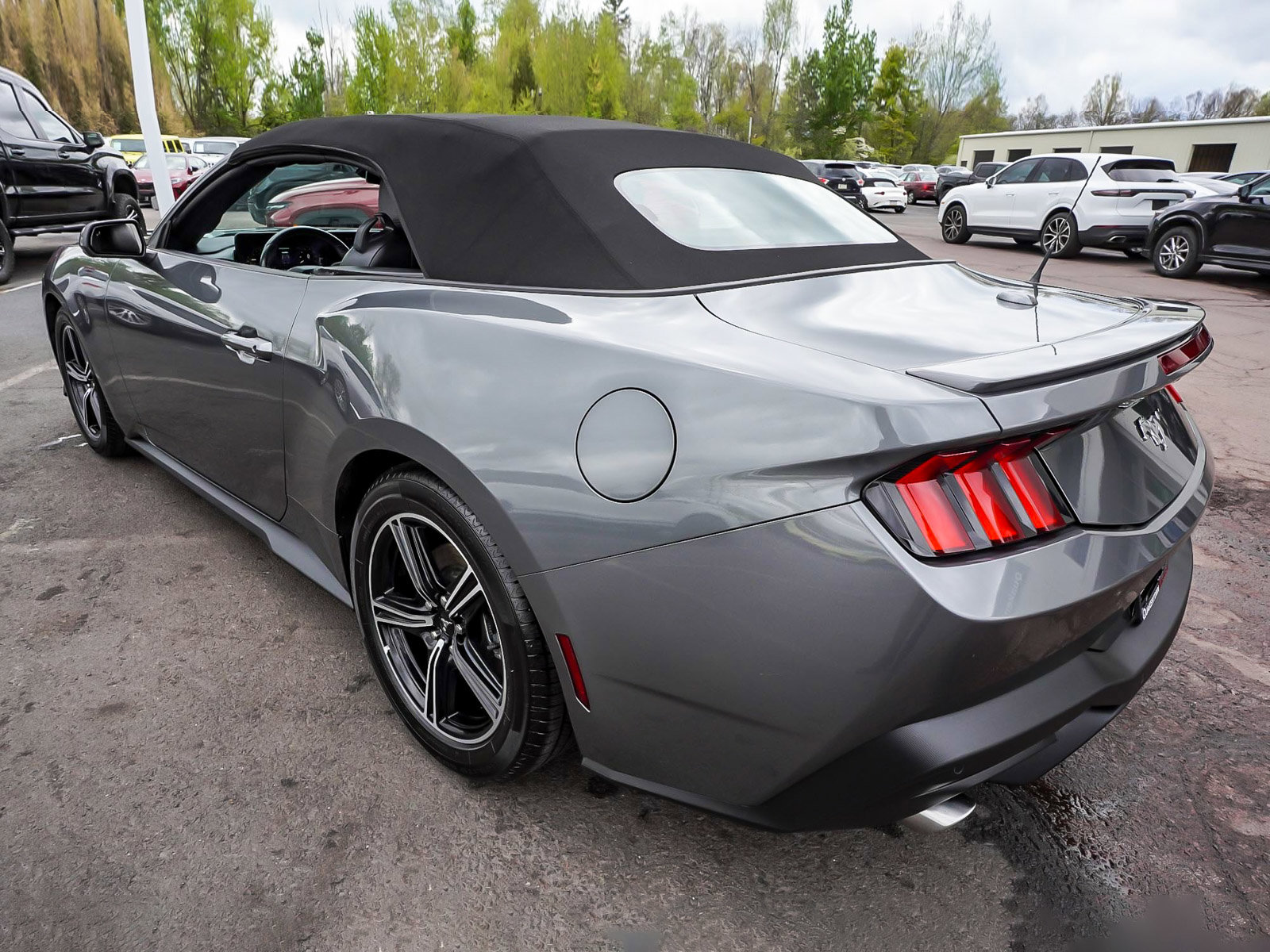 Used 2025 Ford Mustang Premium RWD image 7