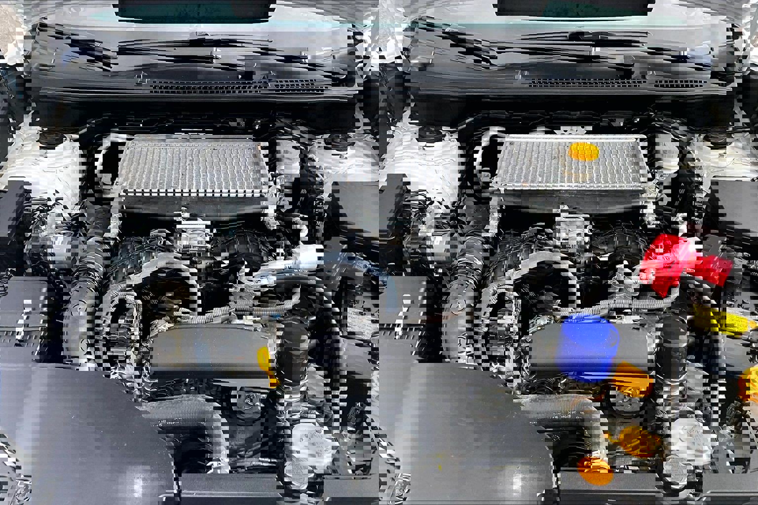 Used 2023 Subaru WRX Premium image 10