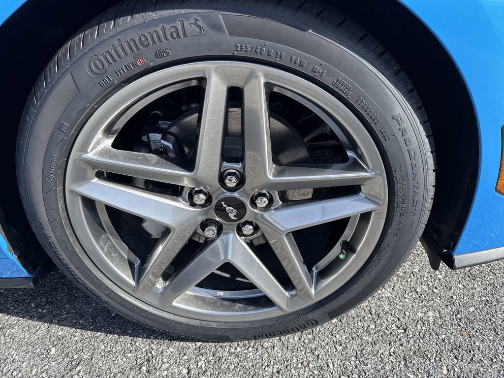 New 2026 Ford Mustang Premium image 12