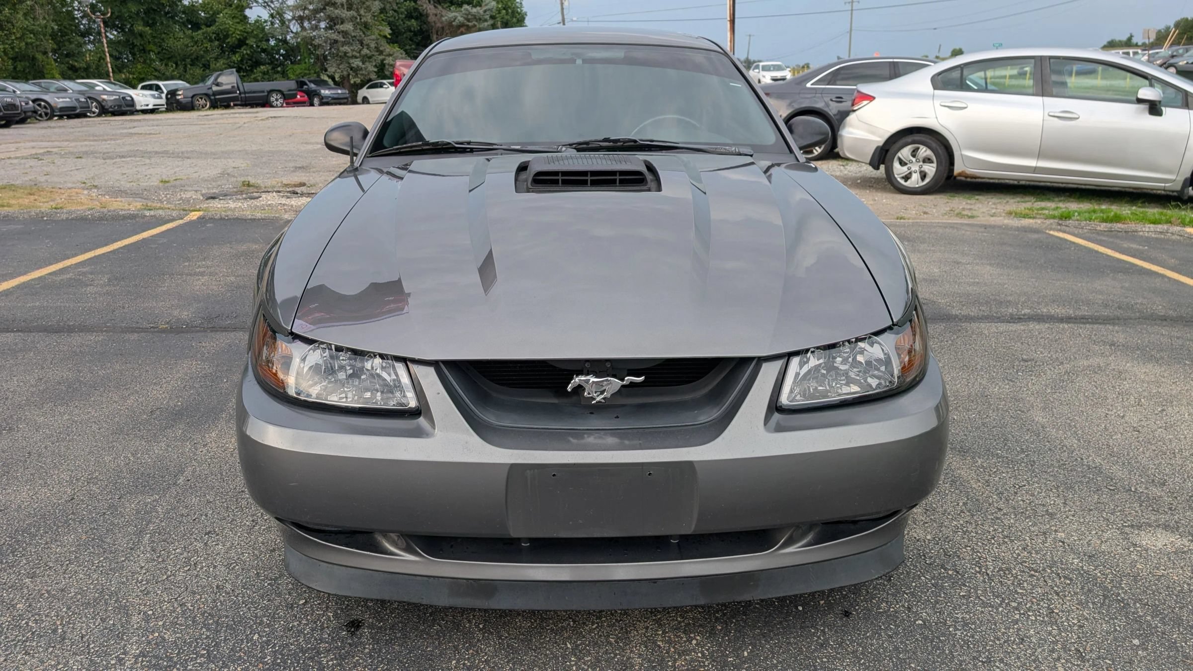 Used 2004 Ford Mustang Mach 1 RWD image 8