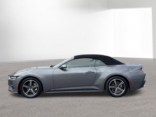Used 2024 Ford Mustang Premium image 14