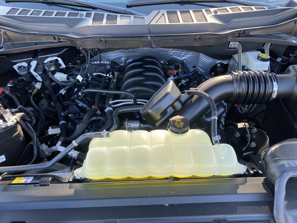 New 2025 Ford F150 XLT w/ Equipment Group 301A Standard image 33