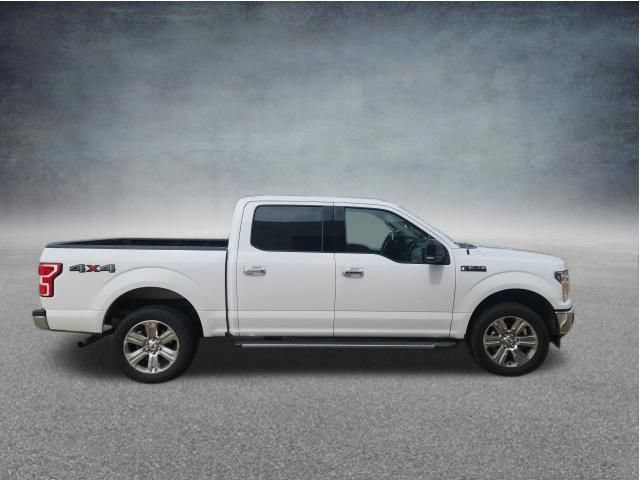 Used 2019 Ford F150 XLT w/ Equipment Group 302A Luxury AWD/4WD image 7