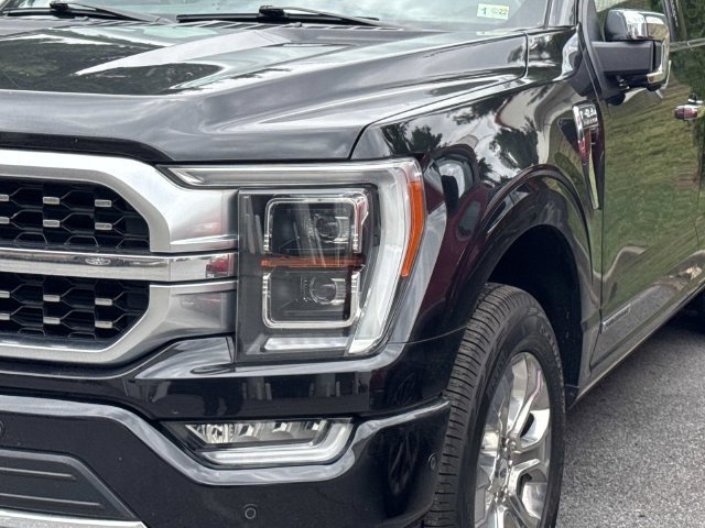Used 2021 Ford F150 Platinum w/ Equipment Group 701A High AWD/4WD image 5