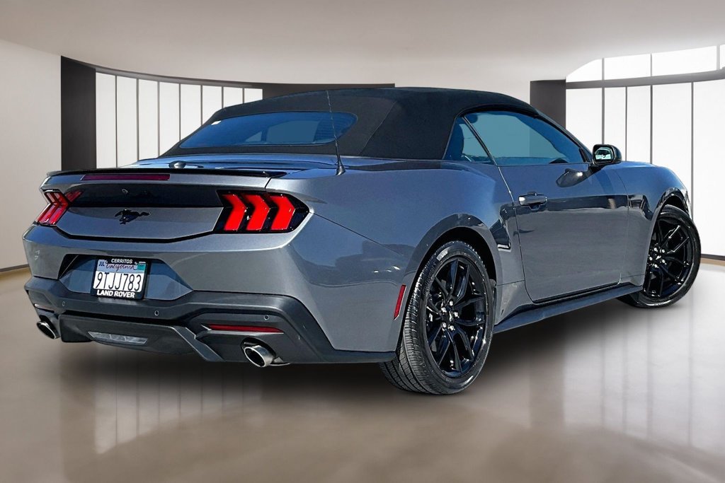 Used 2025 Ford Mustang Convertible w/ Mustang Nite Pony Package RWD image 6