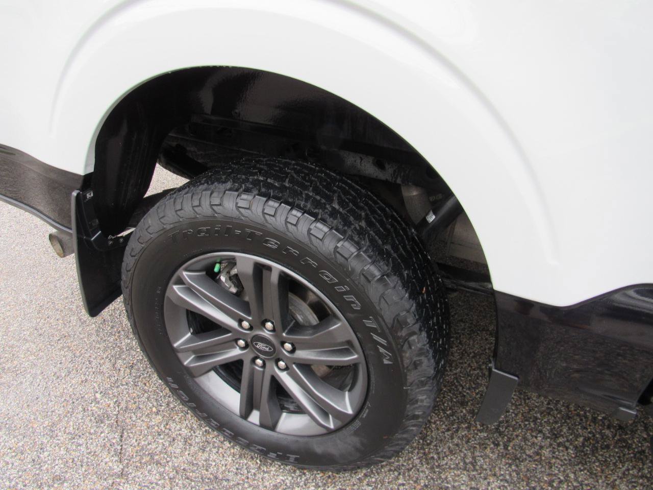 Used 2023 Ford F150 XLT w/ Equipment Group 302A High AWD/4WD image 4
