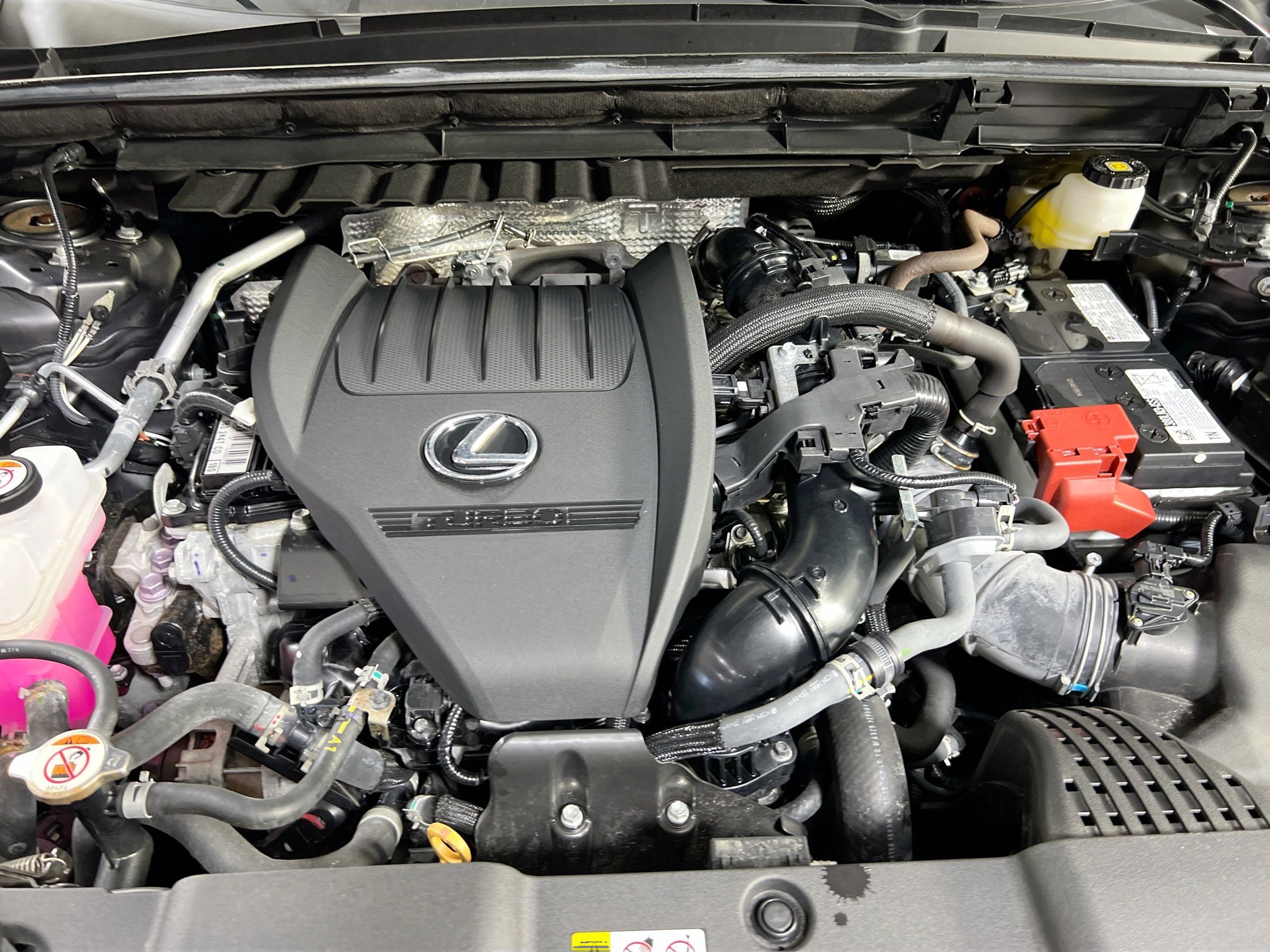 Used 2024 Lexus NX 350 AWD w/ Cold Area Package image 29