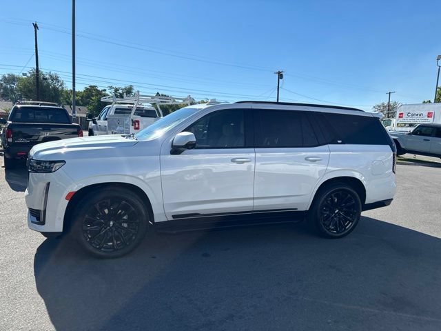 Used 2022 Cadillac Escalade Sport Platinum w/ LPO, ONYX Package AWD/4WD image 5