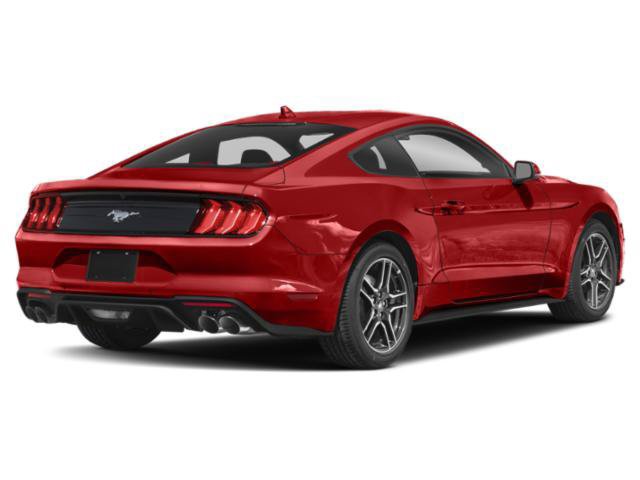 Used 2023 Ford Mustang Coupe w/ Equipment Group 101A RWD image 2