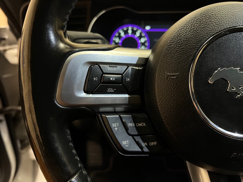 Used 2019 Ford Mustang GT Premium w/ Equipment Group 401A RWD image 28