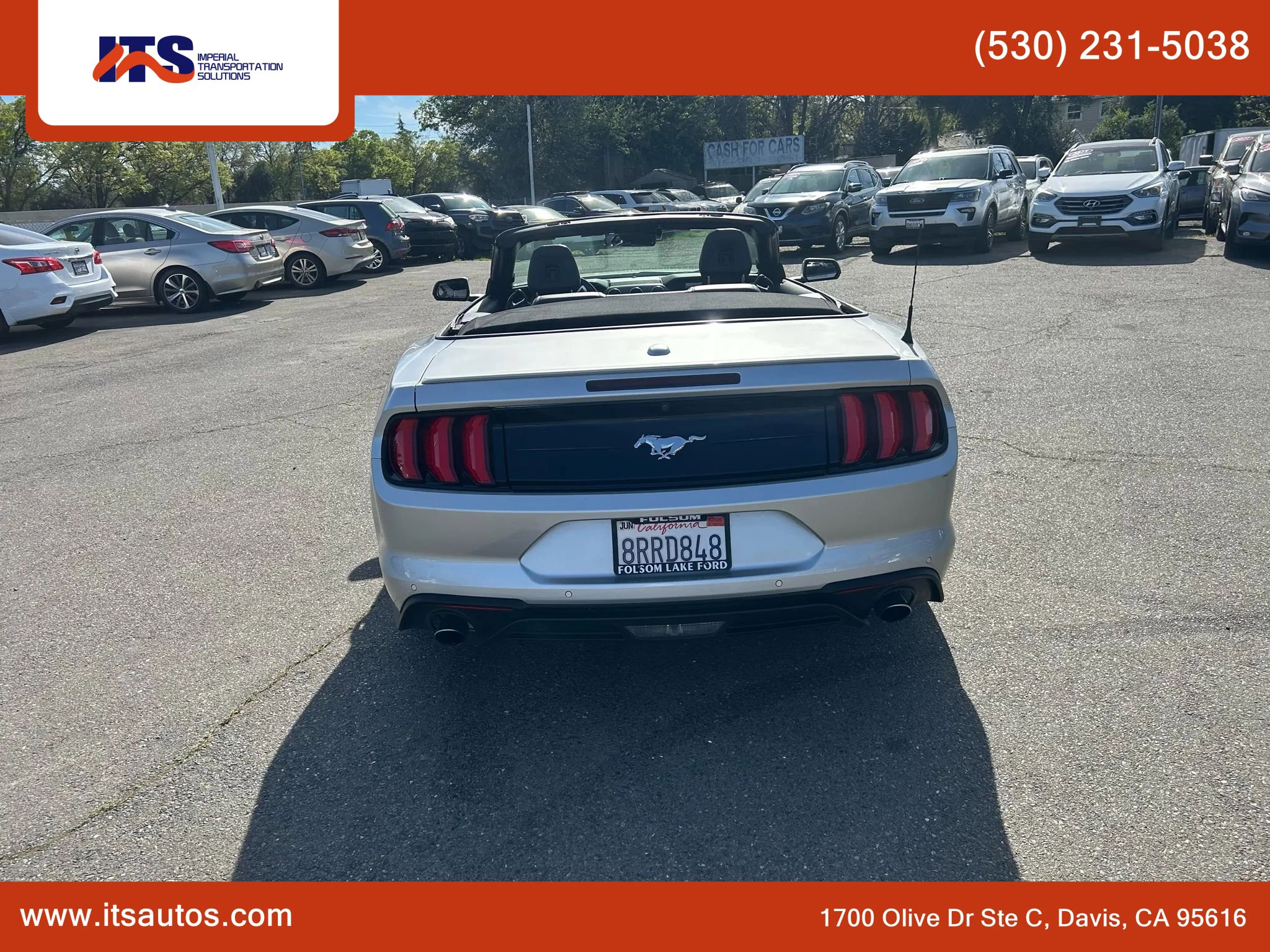 Used 2019 Ford Mustang Premium w/ Equipment Group 201A image 5