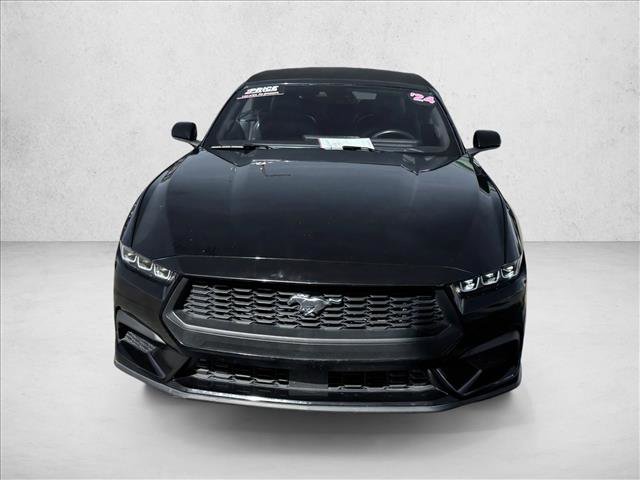 Used 2024 Ford Mustang Premium video 2