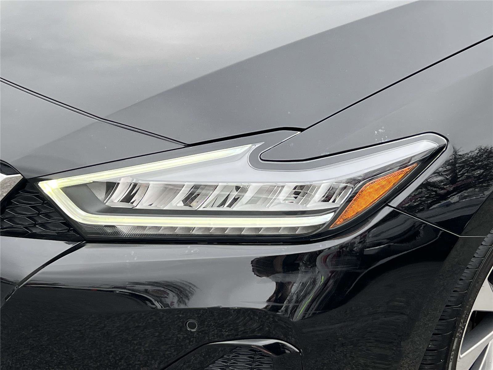 Certified 2023 Nissan Maxima Platinum w/ Sport Mat Group image 13