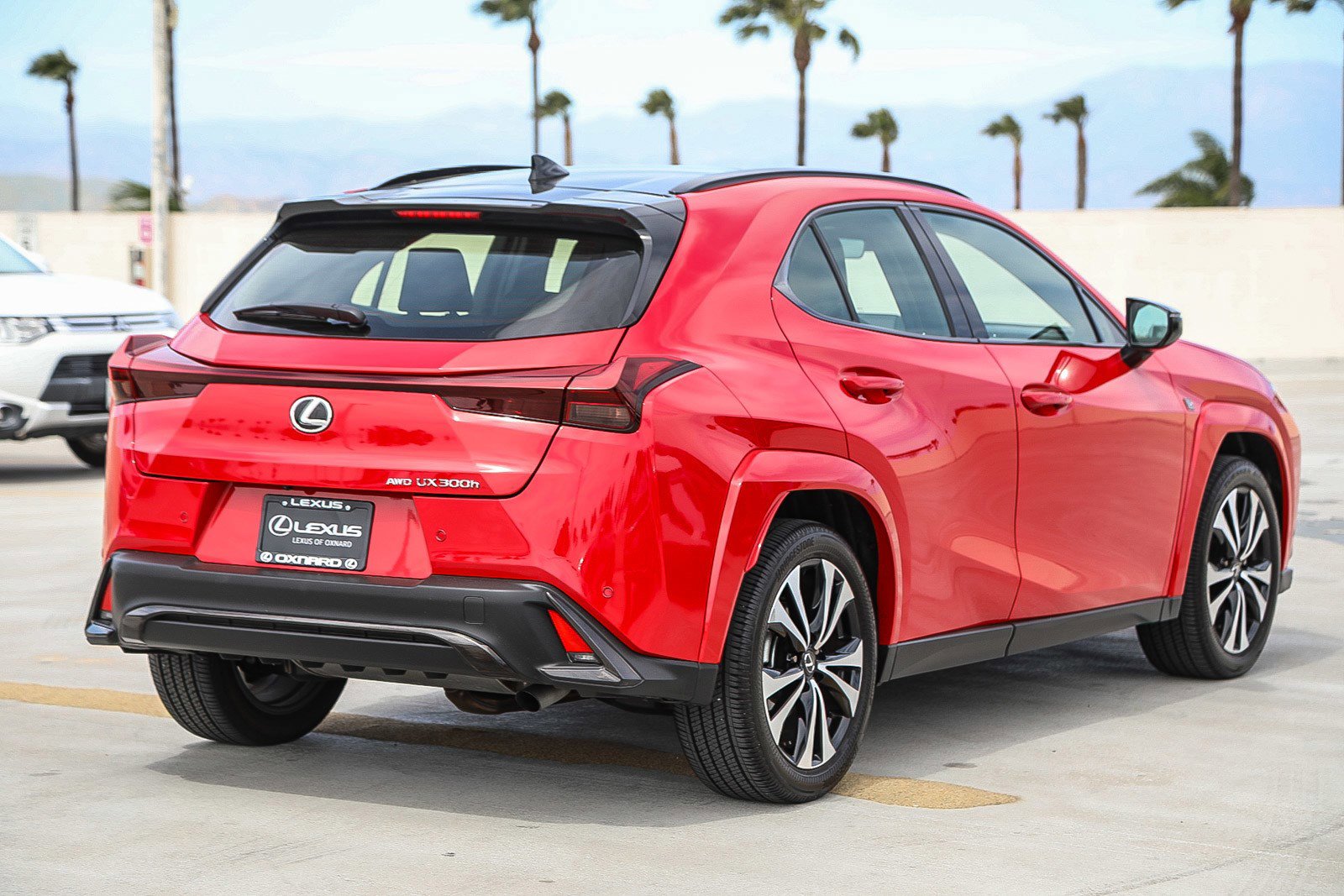 Used 2025 Lexus UX 300h AWD w/ Cold Area Package image 7