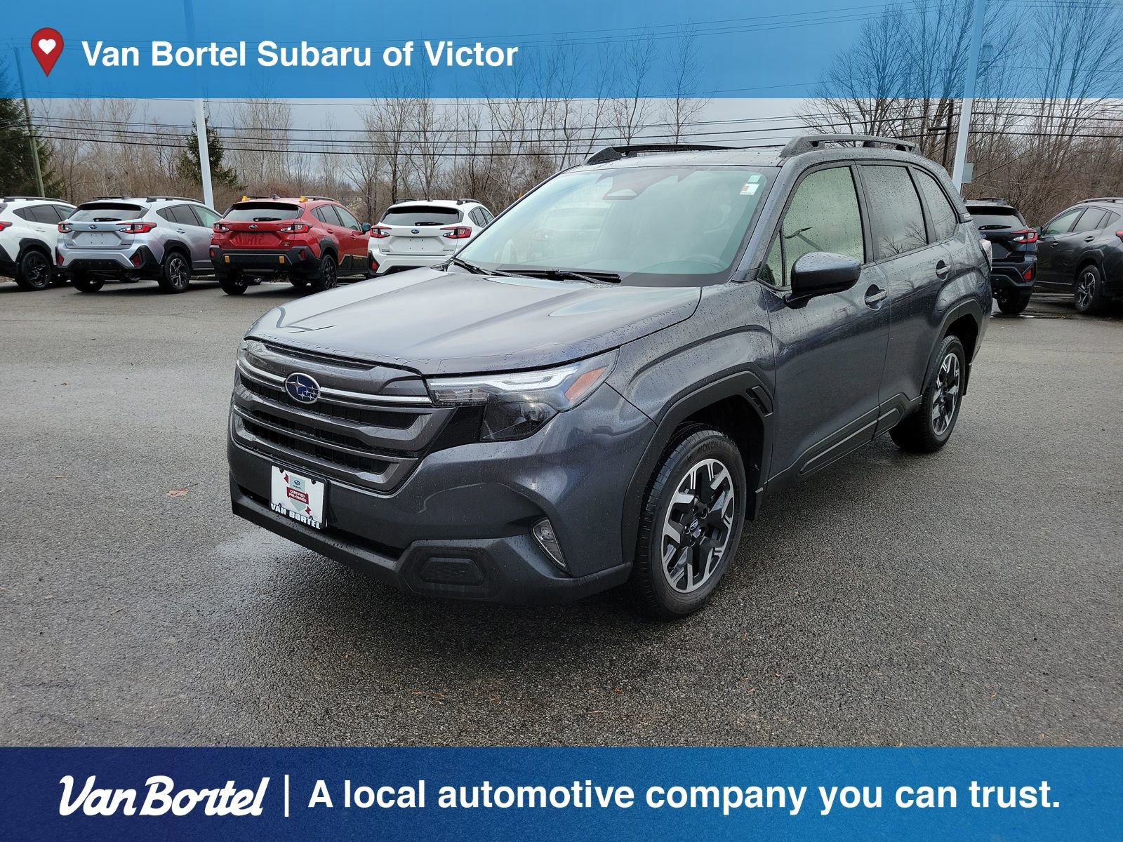 Used 2025 Subaru Forester Premium image 1