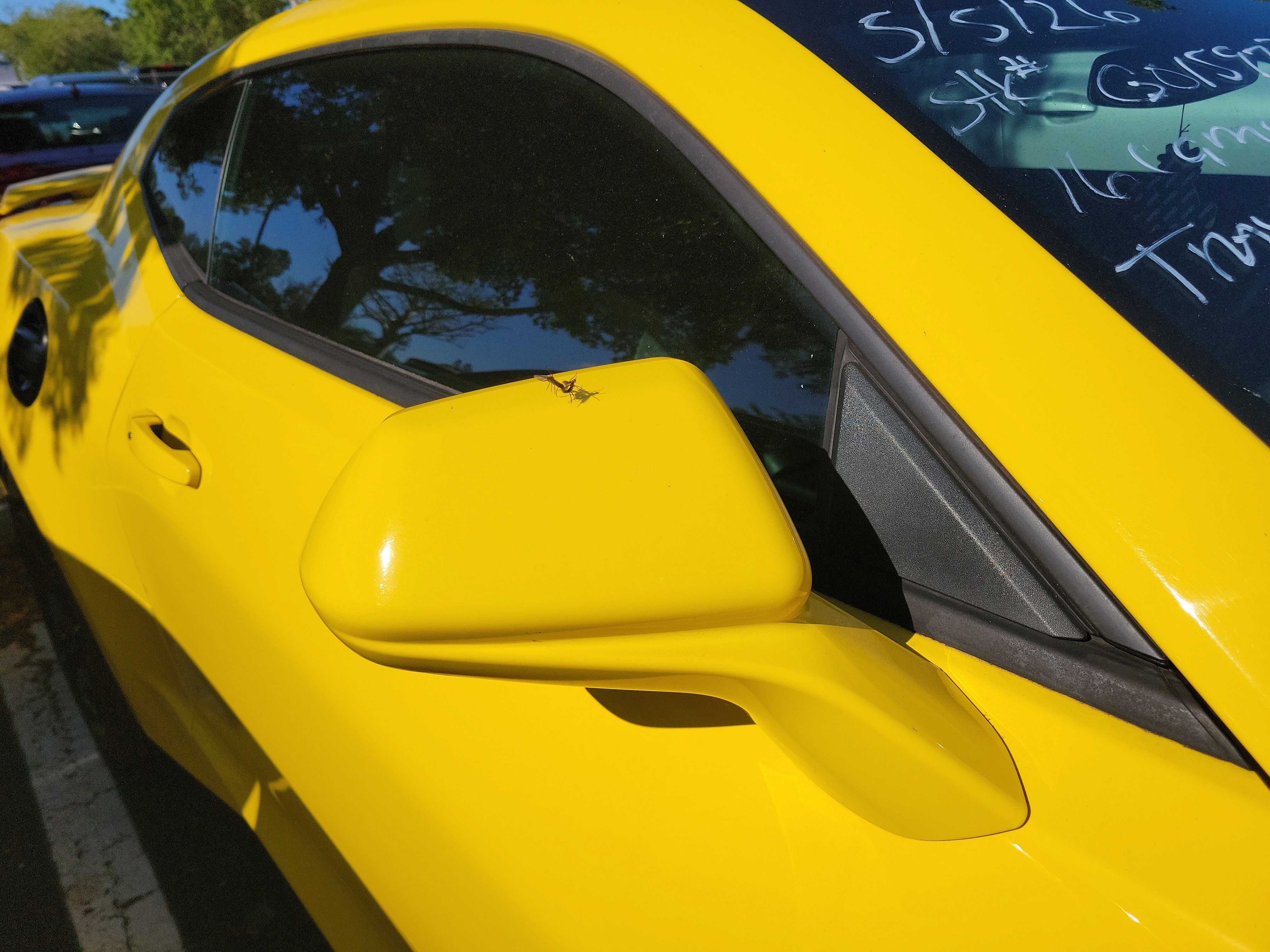 Used 2016 Chevrolet Camaro SS RWD image 9