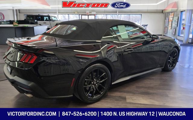 Used 2025 Ford Mustang Premium image 5