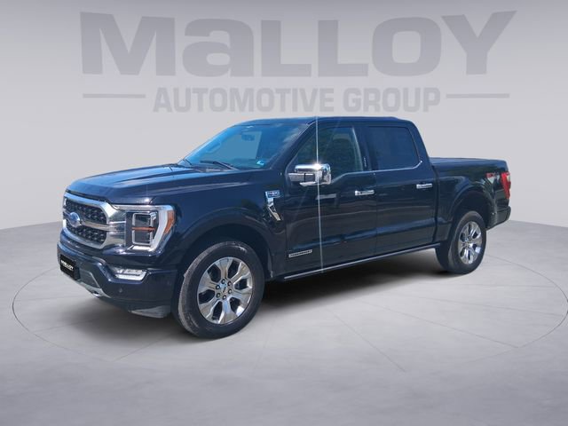 Used 2023 Ford F150 Platinum w/ Equipment Group 701A High
