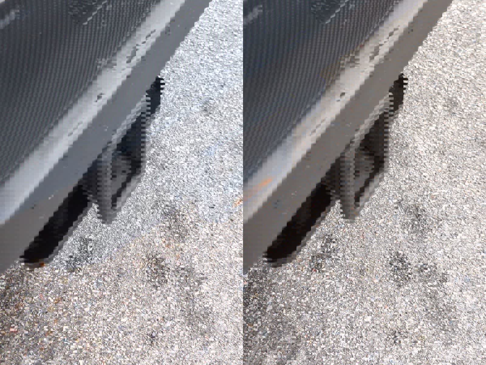 Certified 2024 Ford F150 Raptor image 35