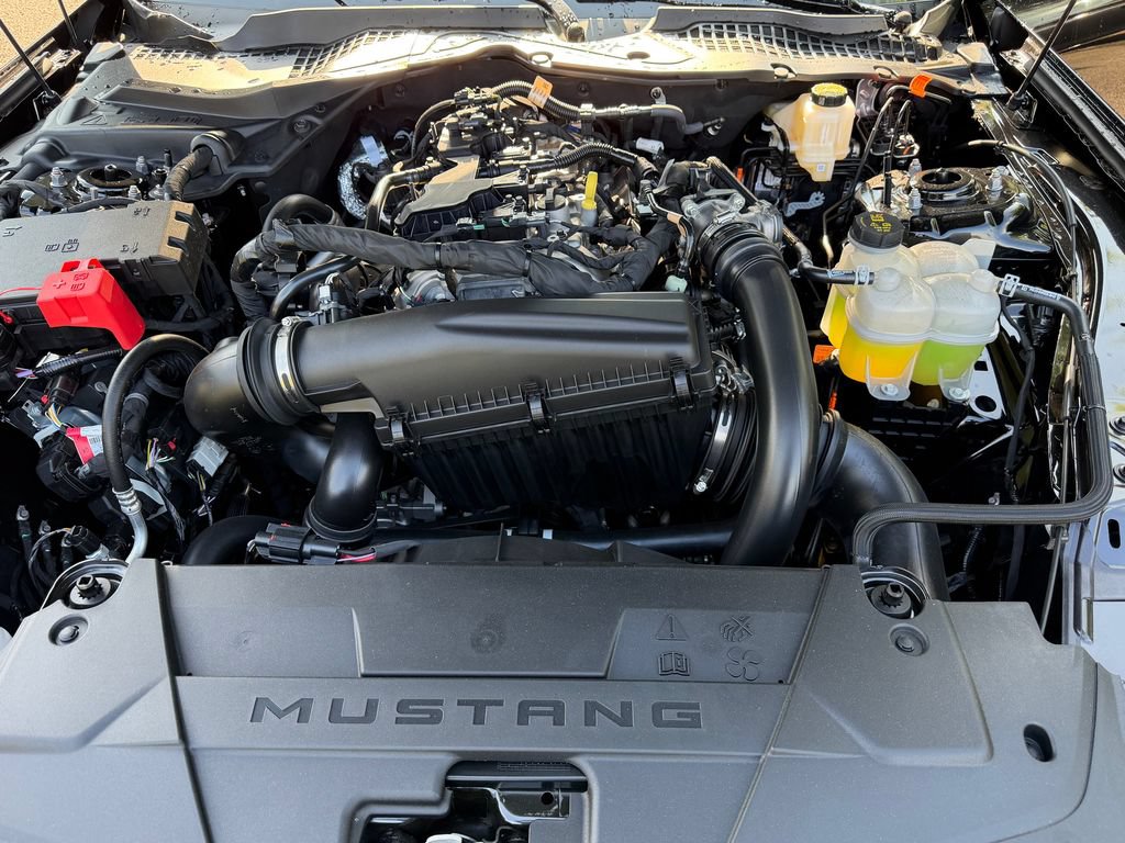 New 2026 Ford Mustang Coupe w/ Mustang Nite Pony Package RWD image 23