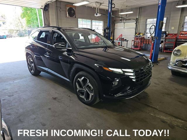 Used 2024 Hyundai Tucson Limited FWD image 1