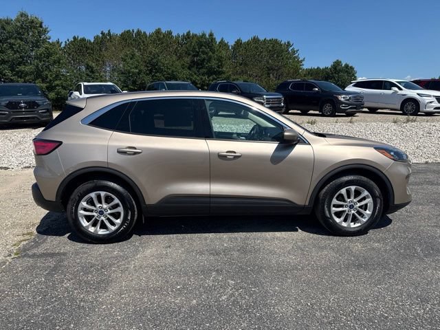 Used 2020 Ford Escape SE AWD/4WD image 4