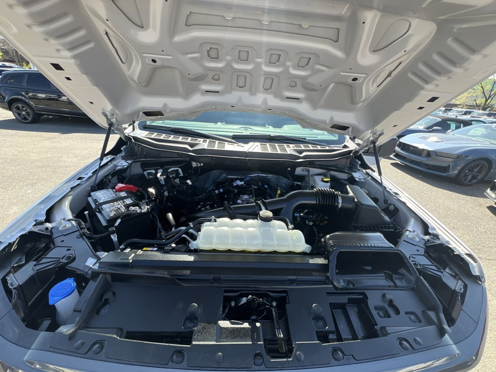 Certified 2025 Ford F150 STX image 34