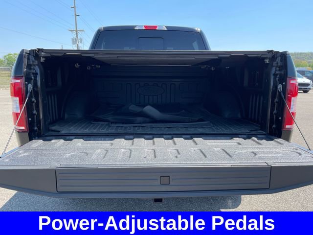 Used 2019 Ford F150 XLT w/ Equipment Group 302A Luxury image 12