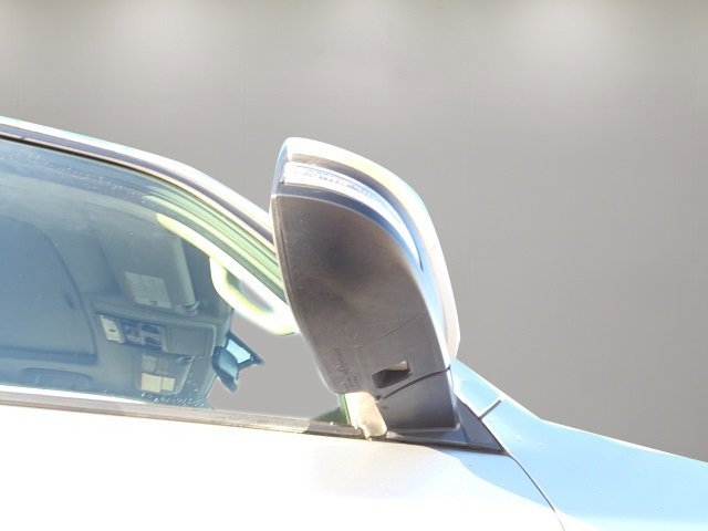 Used 2016 Toyota 4Runner SR5 Premium image 24