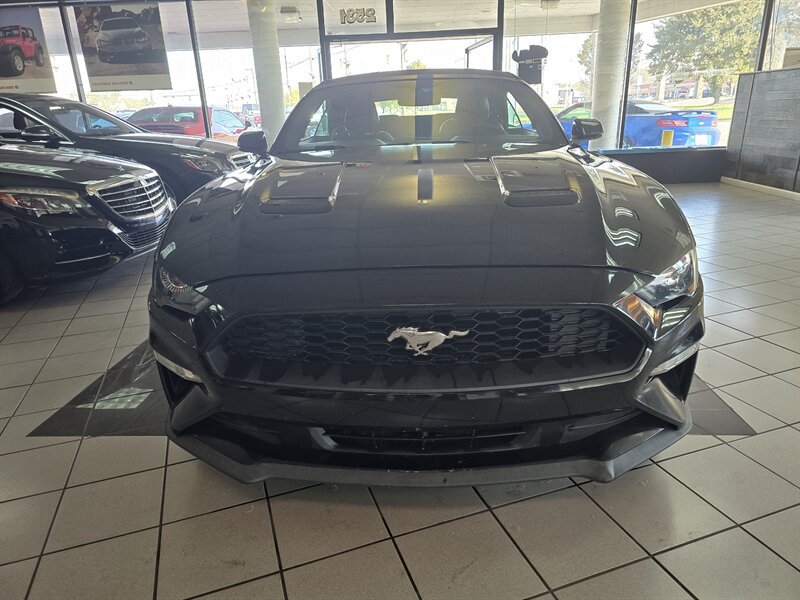 Used 2019 Ford Mustang Premium RWD image 2