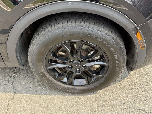 Used 2023 Kia Sportage X-Pro Prestige image 7