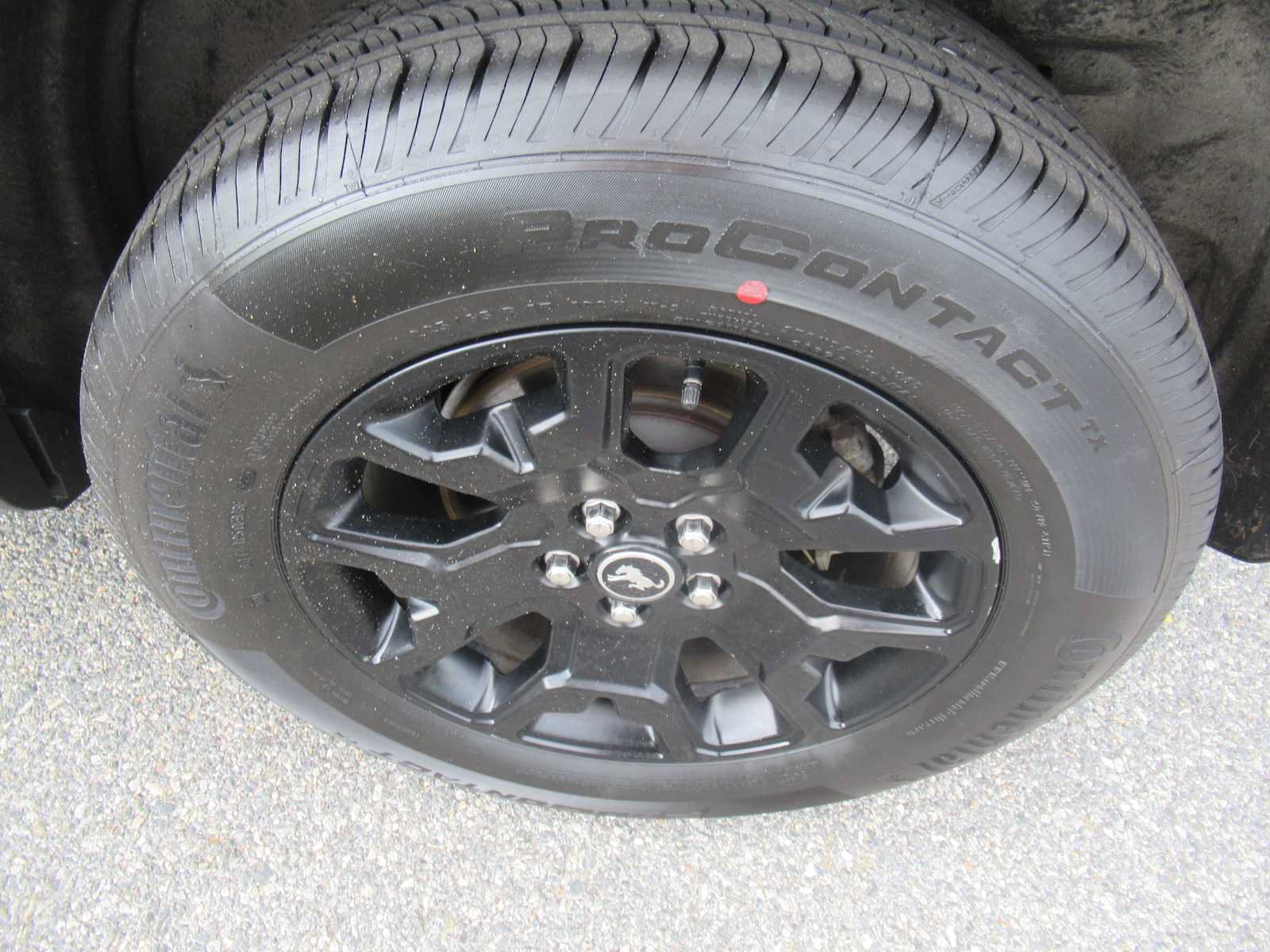Used 2024 Ford Bronco Sport Big Bend w/ Convenience Package AWD/4WD image 9