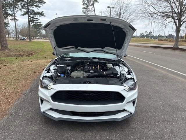 Used 2022 Ford Mustang Coupe w/ Equipment Group 101A image 20