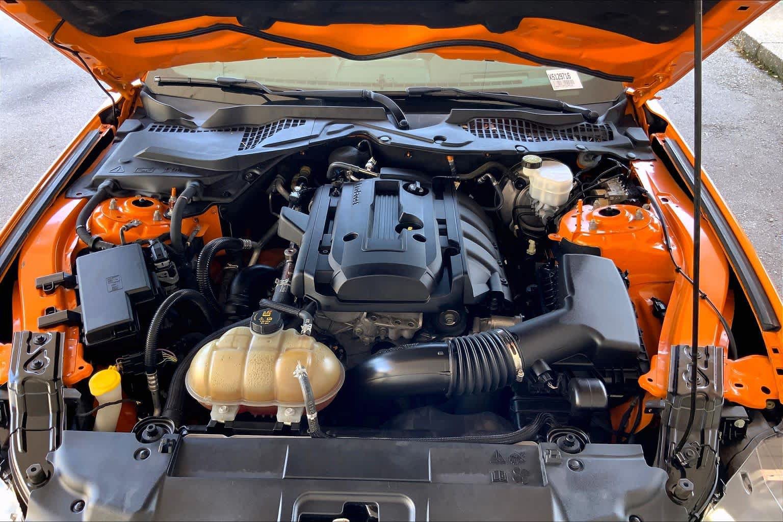 Used 2019 Ford Mustang Premium w/ Equipment Group 201A RWD image 29