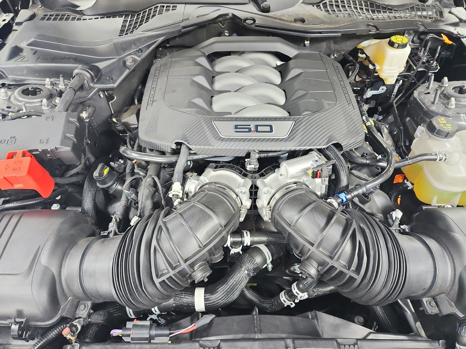 Used 2026 Ford Mustang GT RWD image 18