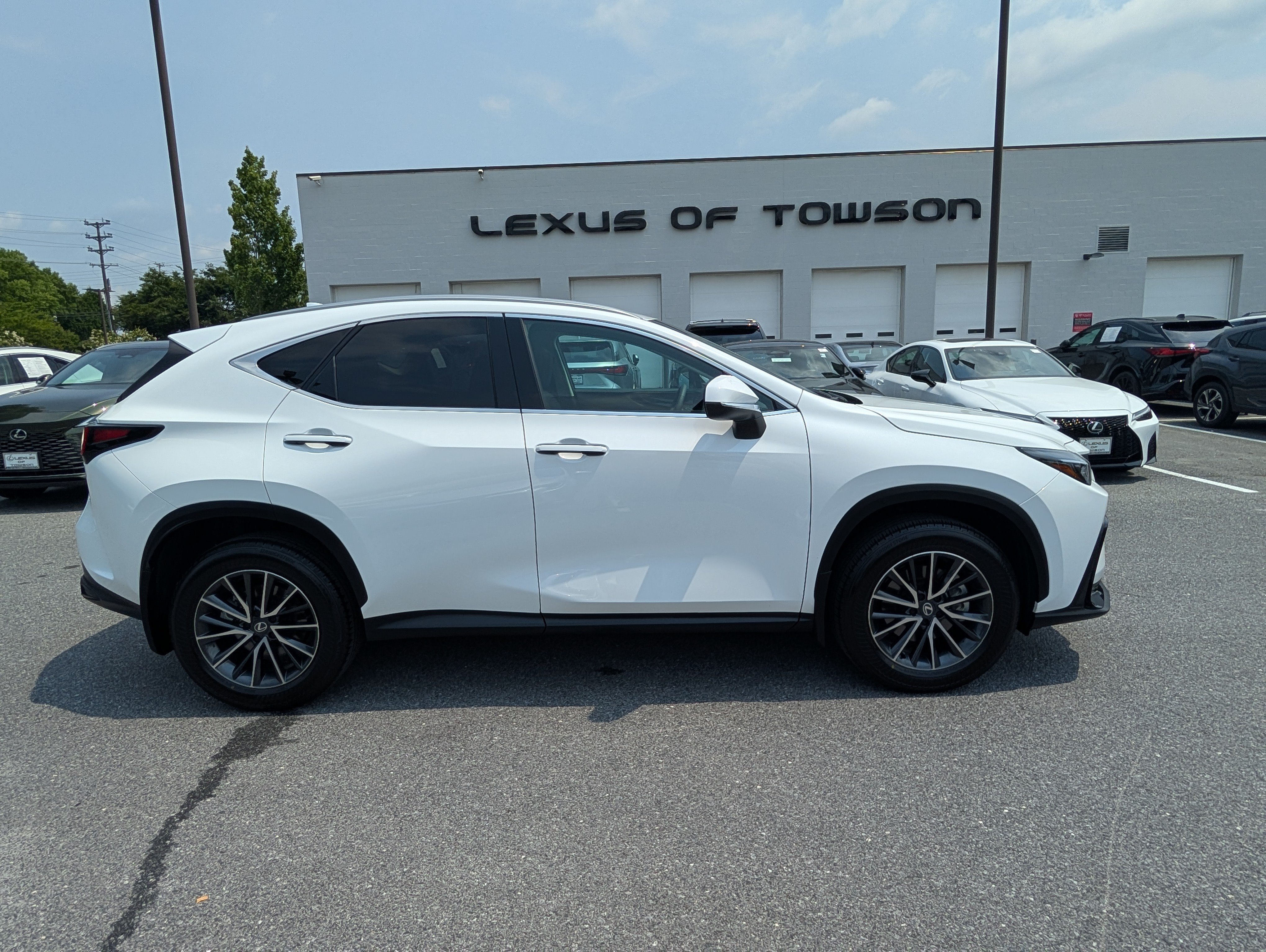 Certified 2026 Lexus NX 350 AWD w/ Cold Area Package image 2