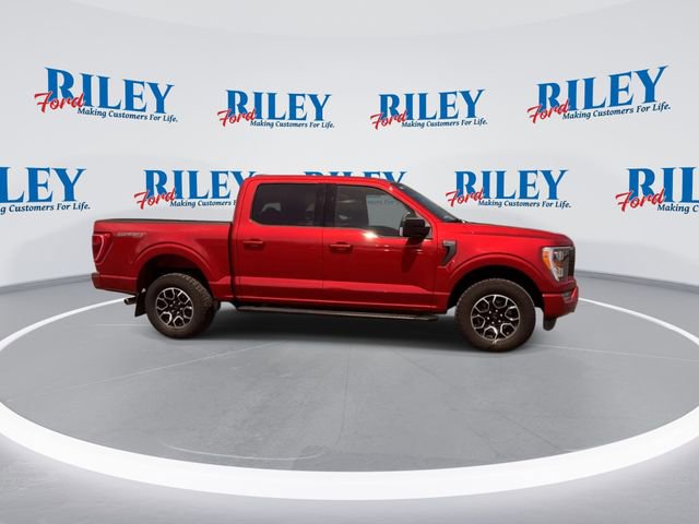 Used 2023 Ford F150 XLT w/ Equipment Group 302A High AWD/4WD image 10