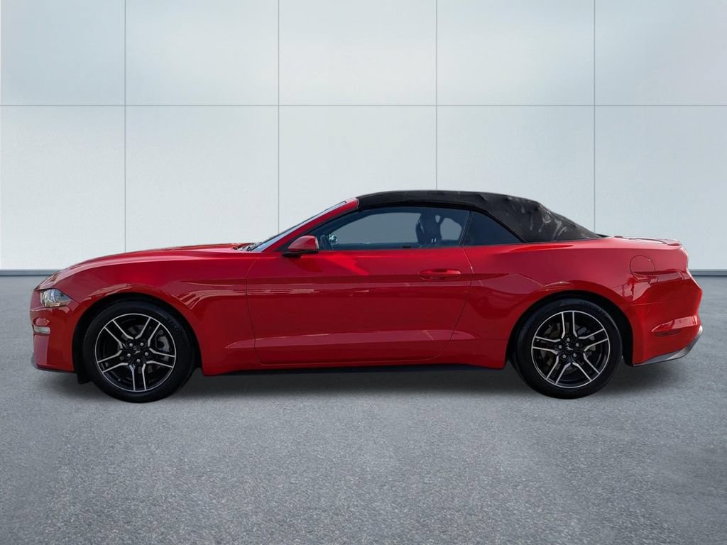 Used 2018 Ford Mustang Premium RWD image 3