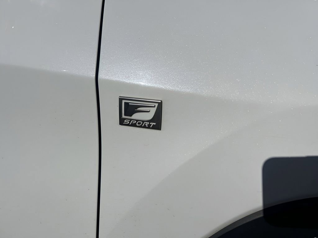 Used 2021 Lexus RX 350 F Sport w/ Cold Area Package (CT) image 13