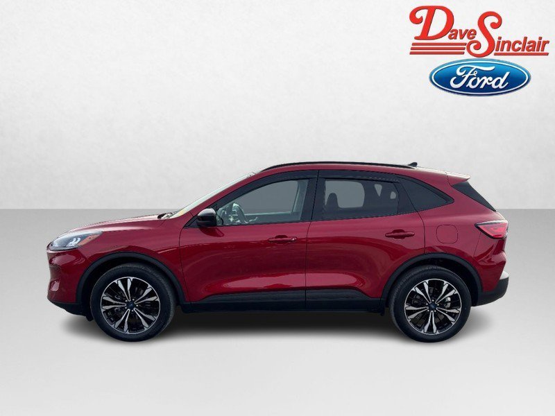 Used 2022 Ford Escape SEL w/ SEL Stealth AWD Package image 10