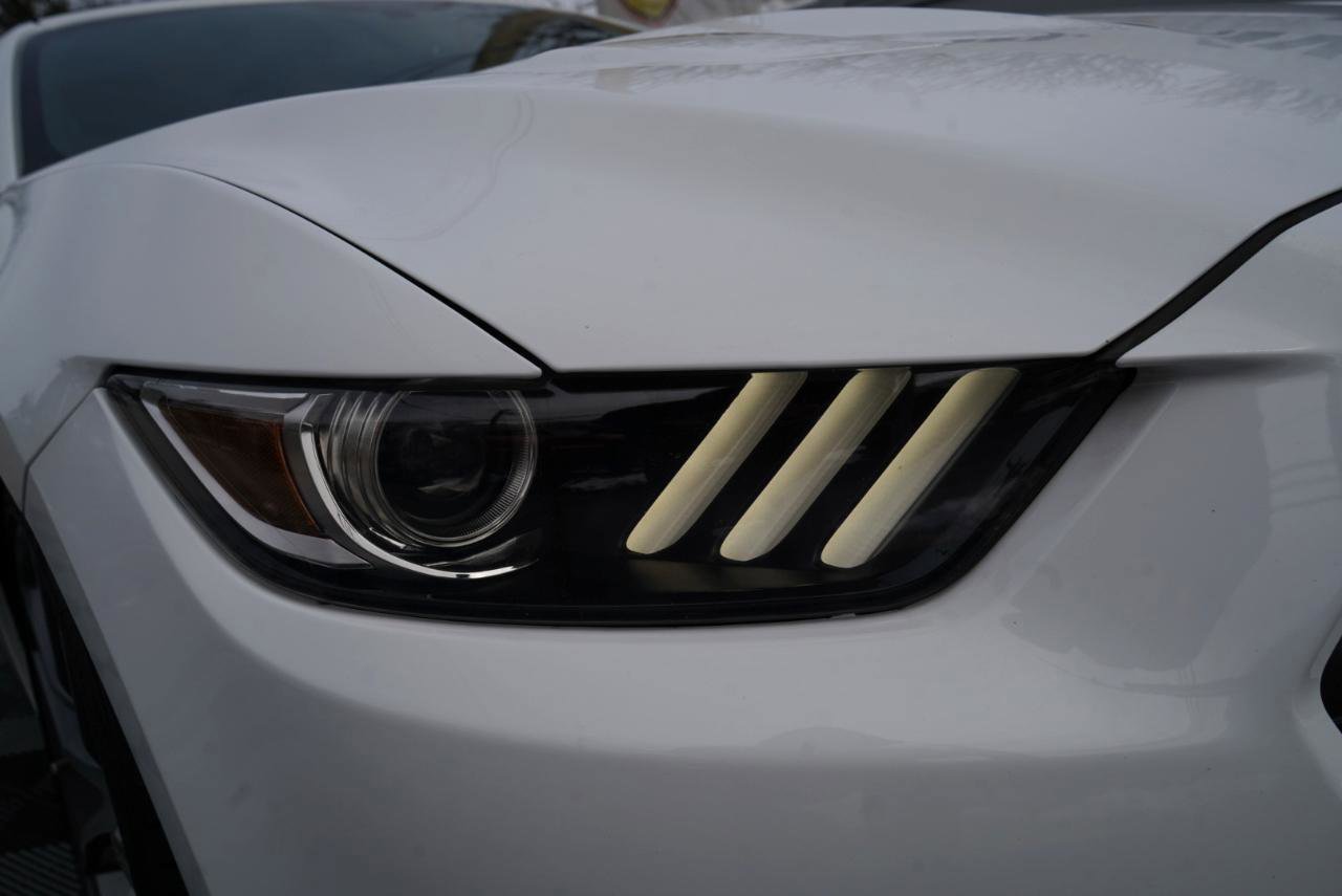 Used 2015 Ford Mustang GT Premium w/ Equipment Group 401A image 88