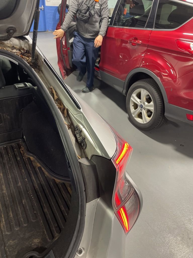 Used 2016 Toyota Prius Three w/ Protection Package FWD image 17