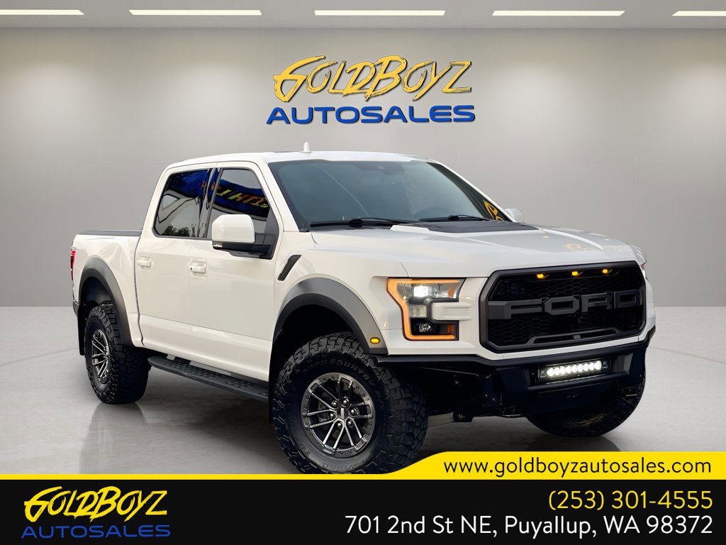 Used 2019 Ford F150 Raptor w/ Equipment Group 802A Luxury image 1